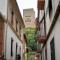 Espléndido piso en el centro - غرناطة
