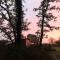 Tree house and shepherds hut - 阿什伯顿