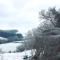 Tree house and shepherds hut - 阿什伯顿