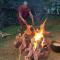 Hillstone Safari Lodge