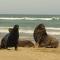 Catlins Newhaven Holiday Park