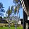 Northern Lights - Cozy apartment, sisältää liinavaatteet