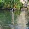 Les berges du moulin