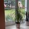 Apartament Hania