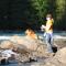 Mount Robson Lodge
