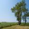 Johanneshoeve - de mooiste plek op Texel