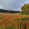 Gîte à la campagne, proche Carcassonne - Alairac