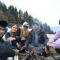 Alpine Lodge And Stays