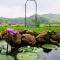 Idam Resort - Vagamon