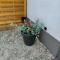 APARTAMENT NAD JEZIOREM