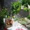 Apartment Antonia