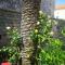 Apartment Antonia