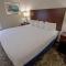 Best Western Plus Lafayette Vermilion River Inn & Suites - Lafayette