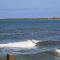 The Waves