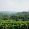 Private Estate Among the Vineyards of Alba - Italy