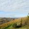 Private Estate Among the Vineyards of Alba - Italy