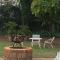Pecan Tree Parys