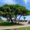 Superbe appartement neuf entre mer et pins Wifi - أرجيليه سور مير