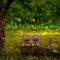 Olive Tree Village Guesthouse - 南庄乡