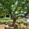Villa stone house