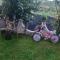 Vila Mir - Pirot