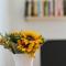 Cozy 1 bedroom apt/terrace/garden