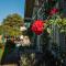 Golden Hills Vila Suzana