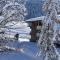 Chalet LA SOURCE - Cohennoz
