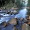 Rainforest River Retreat Kangaroo Valley