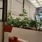 Habitación con terraza privada - Ciudad de México