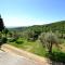 Lovely estate not far from Florence with olives trees