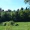 Lovely estate not far from Florence with olives trees - Poggio Alla Croce