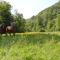 Moulin de la Cuse - Chambre lAnse