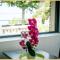 Appartement Cozy 1 Panoramique Lac Léman Thonon-Les-Bains - 托农莱班