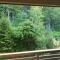 Black Forest Schwarzwaldliebe Pool Sauna Tennis Tischtennis Wifi Netflix Natur