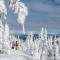 Snow Creek Village #20 By Bear Country