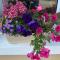 Castlebaldwin Country Residence
