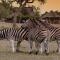 Nkorho Bush Lodge - Sabi Sand Game Reserve