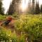 Trails Edge #17