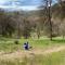 Modern House on 5 acr in Sequoia National Forest - Panorama Heights