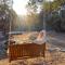 Modern House on 5 acr in Sequoia National Forest - Panorama Heights
