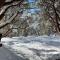 Modern House on 5 acr in Sequoia National Forest - Panorama Heights