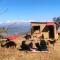 Traveller Hive Kasar Devi - Almora