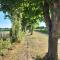Cosy cottage with vineyard view near Goodwood Chichester