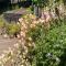 Pet Friendly - 2 Guests - Shepherds Hut