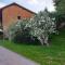 LES GALLINACES