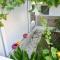 Anastasia mare home #A#