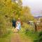 Loch Awe Holiday Park