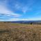 THE VIEWPOINT SUV vehicle required