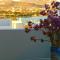 Dolphin Rooms